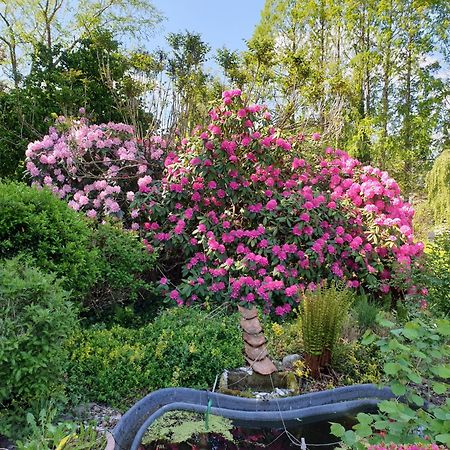 Ferienwohnung Gartenblick ヴェスターシュテーデ エクステリア 写真