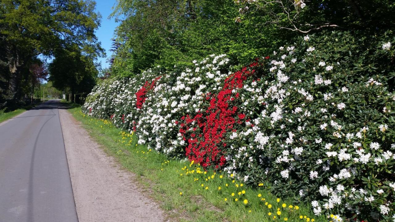 Ferienwohnung Gartenblick ヴェスターシュテーデ エクステリア 写真