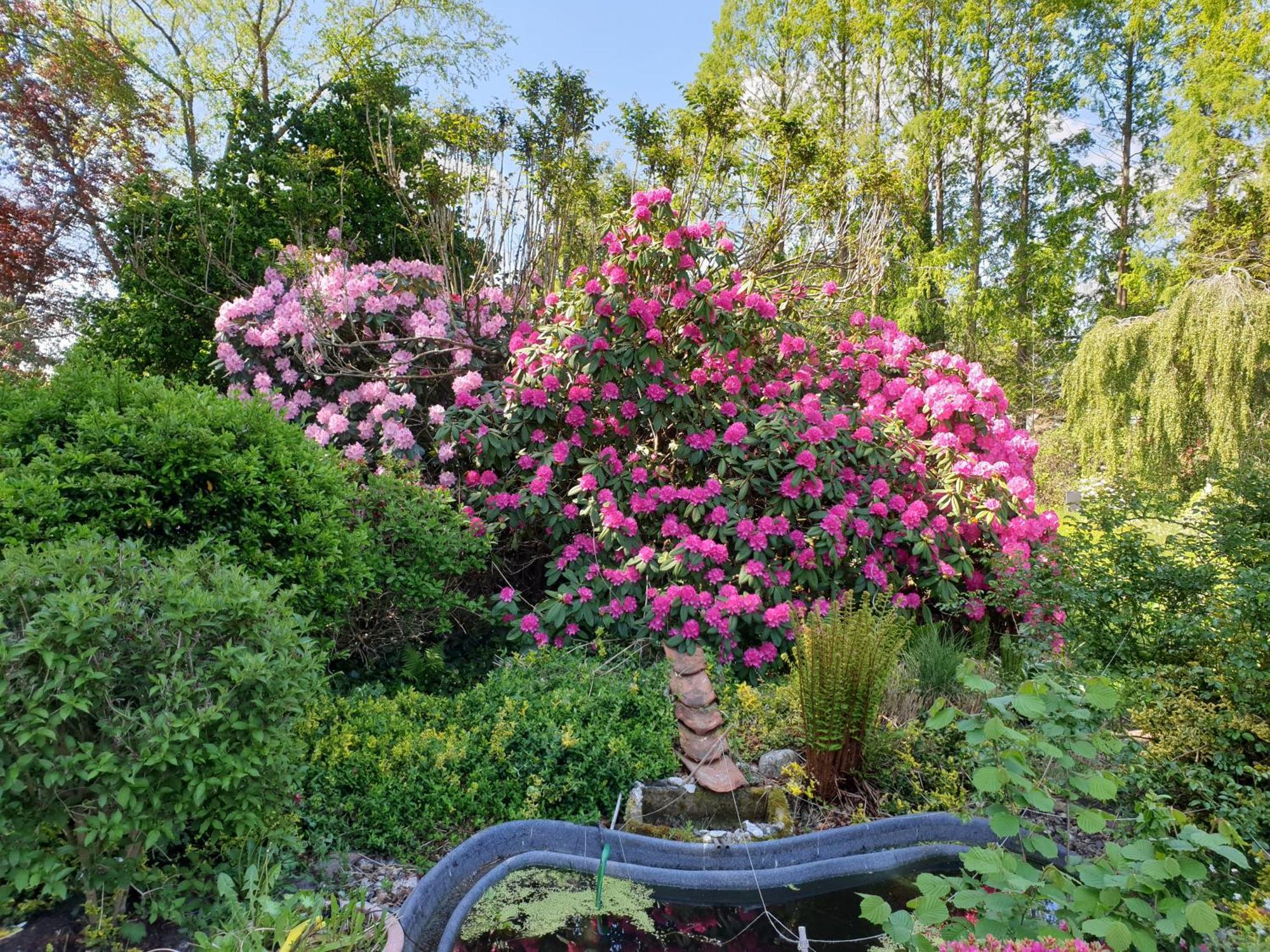 Ferienwohnung Gartenblick ヴェスターシュテーデ エクステリア 写真