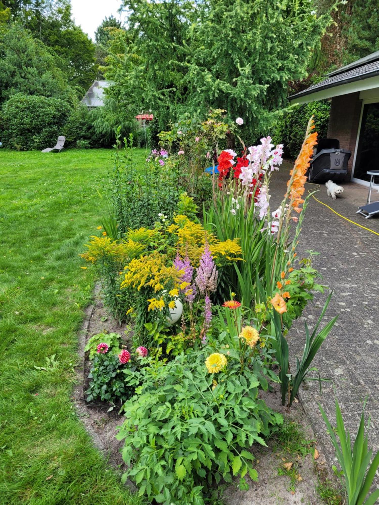Ferienwohnung Gartenblick ヴェスターシュテーデ エクステリア 写真