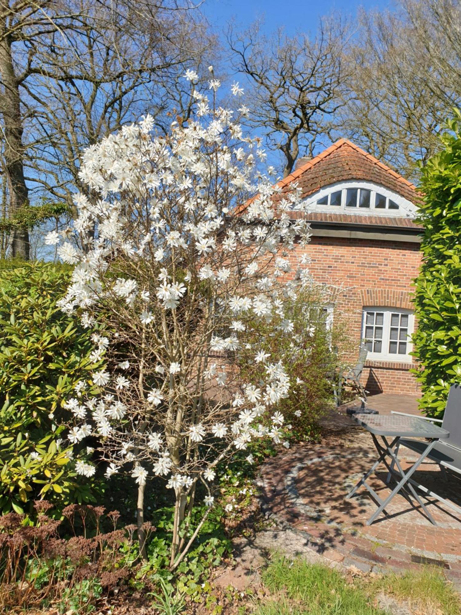 Ferienwohnung Gartenblick ヴェスターシュテーデ エクステリア 写真