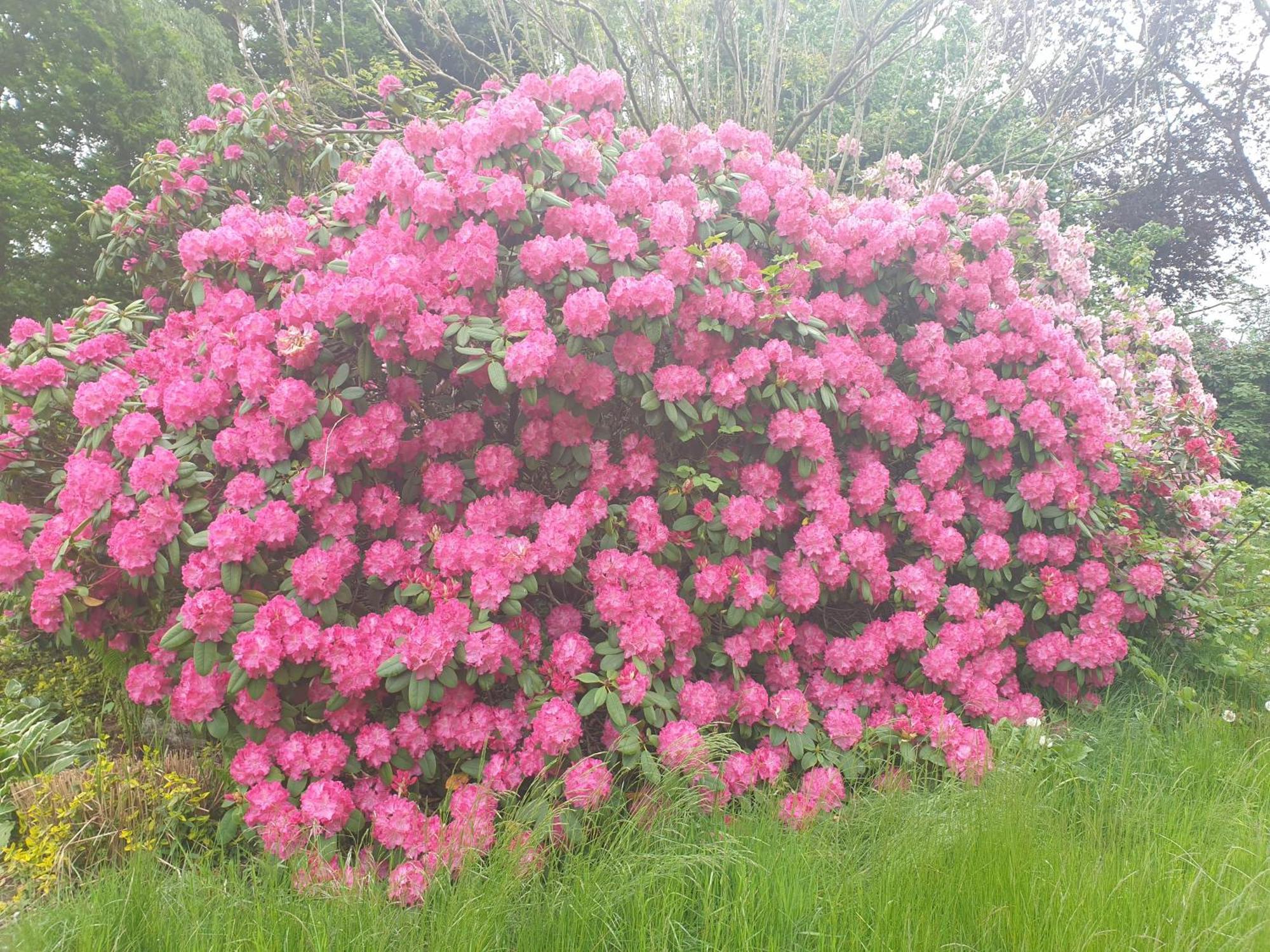 Ferienwohnung Gartenblick ヴェスターシュテーデ エクステリア 写真