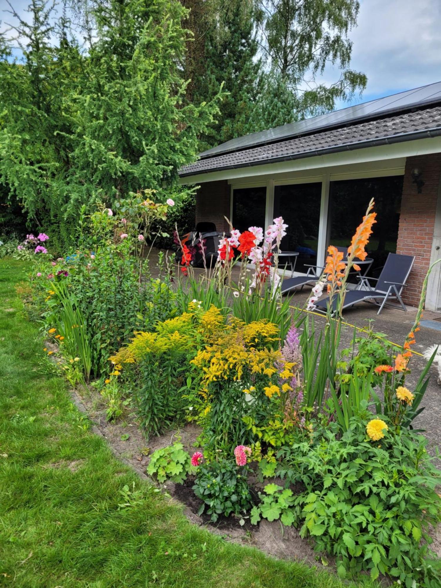 Ferienwohnung Gartenblick ヴェスターシュテーデ エクステリア 写真