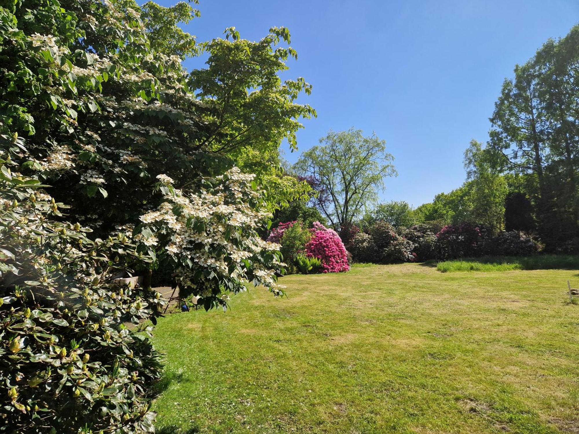 Ferienwohnung Gartenblick ヴェスターシュテーデ エクステリア 写真