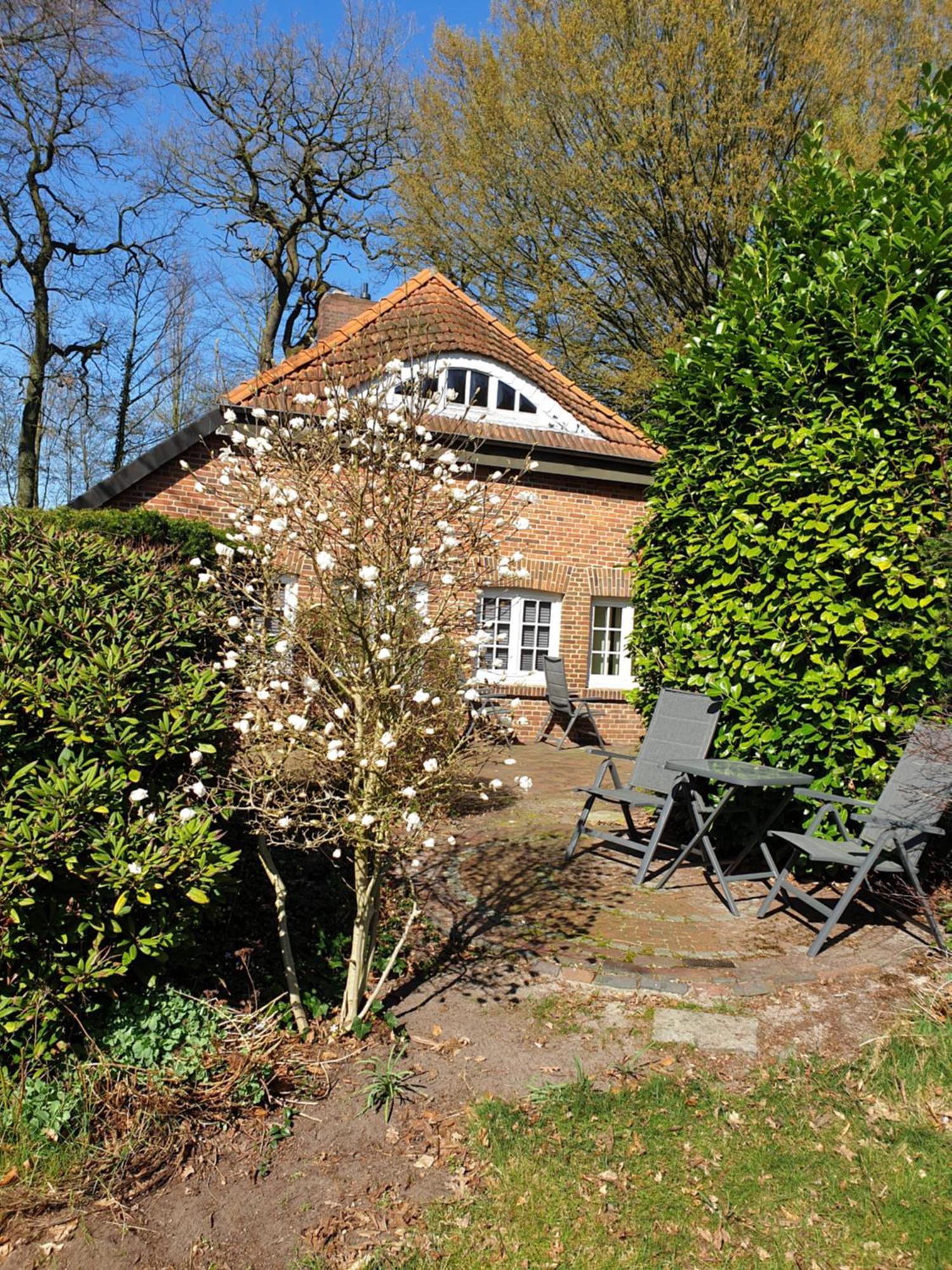Ferienwohnung Gartenblick ヴェスターシュテーデ エクステリア 写真